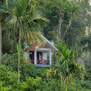  Homestay Dhanagiri Wayanad India
